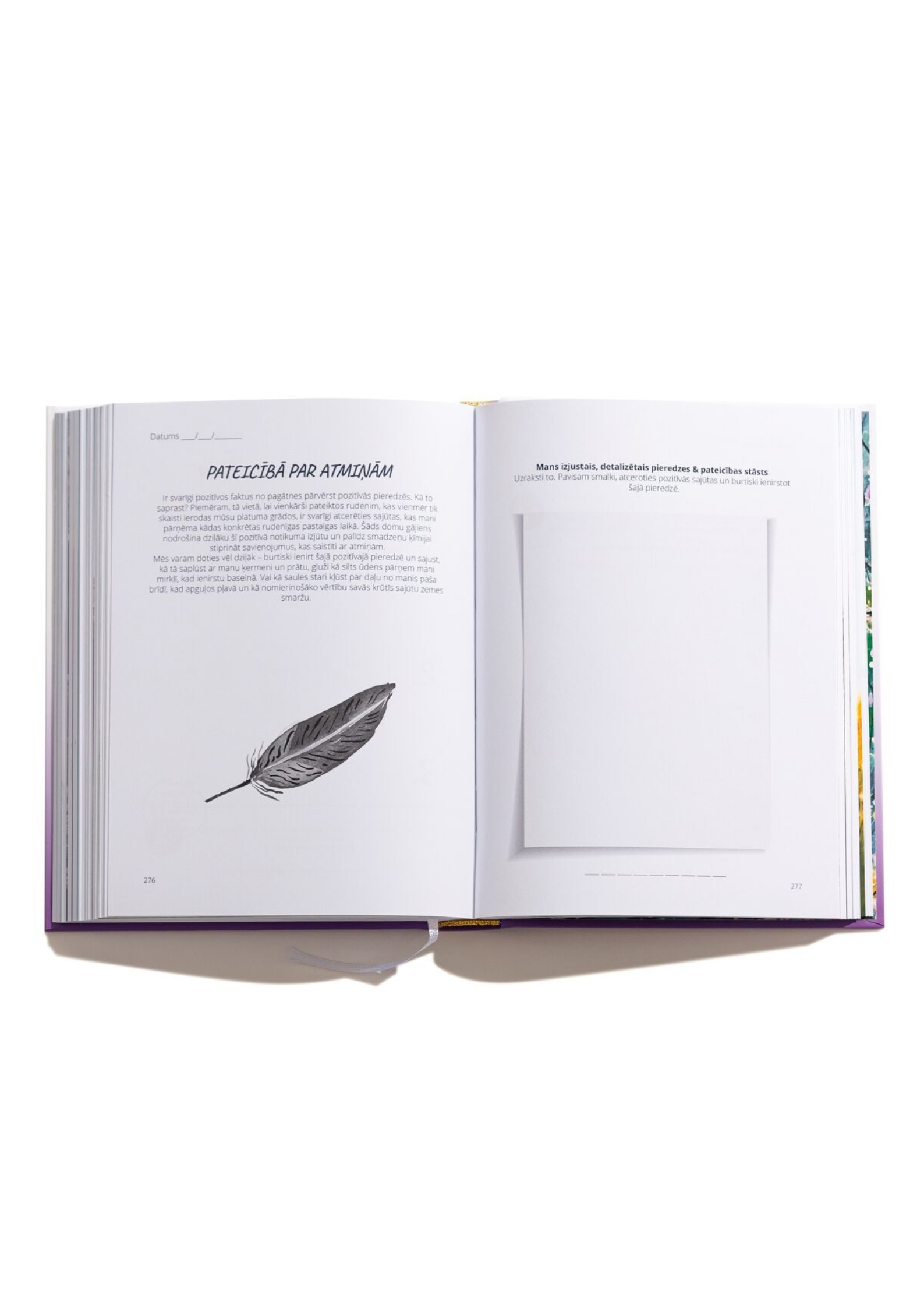 6 minūtes 365 dienas PATEICĪBĀ dienasgrāmata 🇱🇻